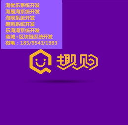 趣购系统区块链商城开发乐淘淘众筹模式商城定制开发 郑州腾远电子科技公司 app软件 小程序