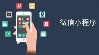 手机app开发定制软件旺旺客商城app app制作定做